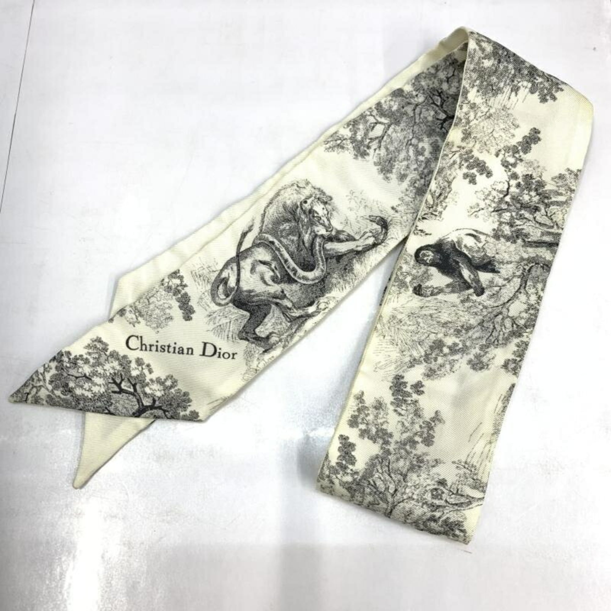 Christian Dior Mitzah